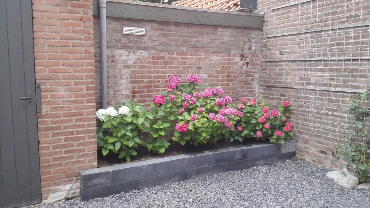 De Notenbalk Aan Zee Vlissingen Exterior foto